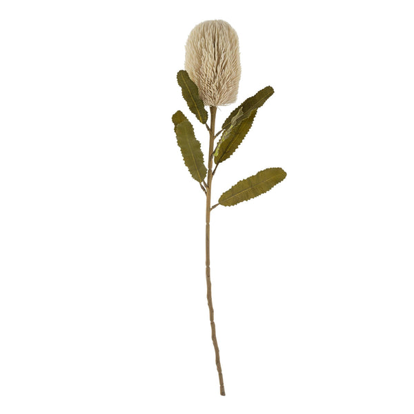 Banksia Floral Stem | Cream