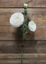 Fresh Touch White Ranunculus Spray | 24"