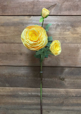 Fresh Touch Yellow Ranunculus Spray | 24"