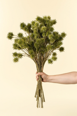 Chestnut Ball Bouquet | Green