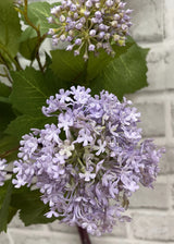 Lavender Snowball Bundle