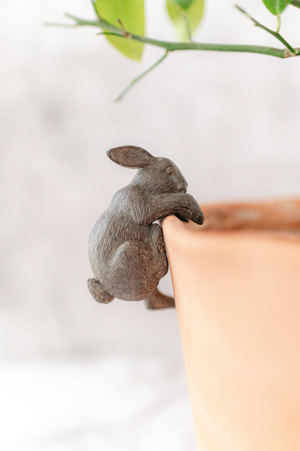 Planter Hanger | Bronzed Bunny