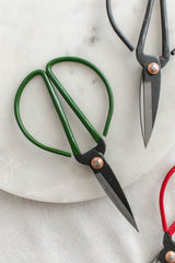 Flower Stem Shears