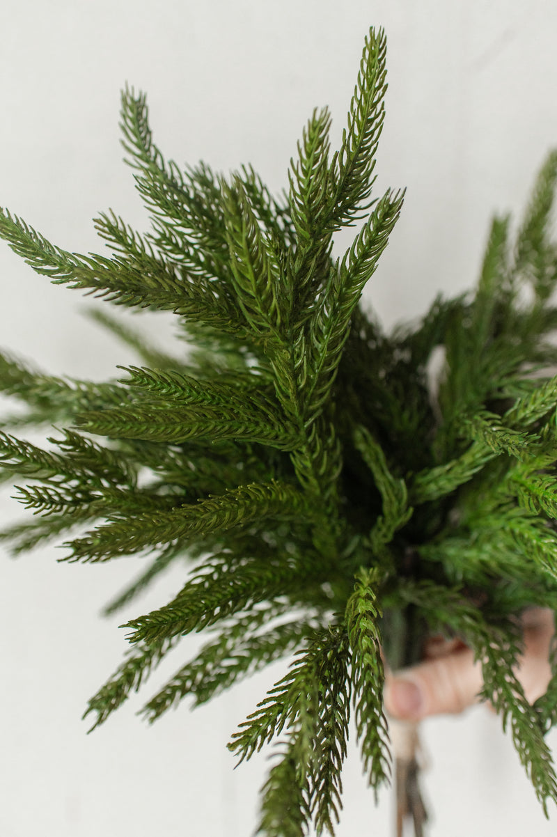 Fresh Touch Norfolk Pine Pick | 12"