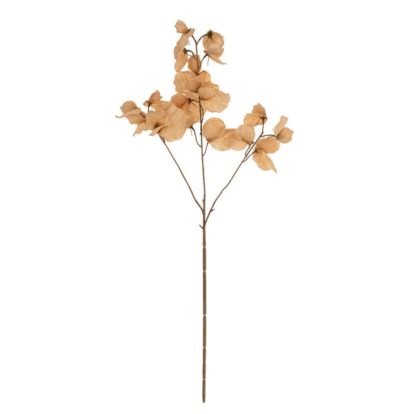 Sweet Pea Stem | 28" - FINAL SALE