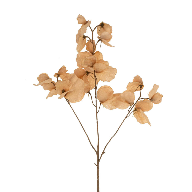 Sweet Pea Stem | 28"