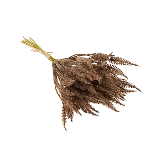 Pampas Grass Bundle | Brown - FINAL SALE