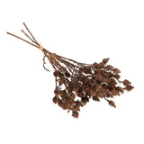 Wild Grass Bundle | Brown