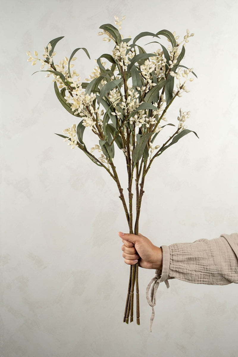 Flowering Eucalyptus Branch