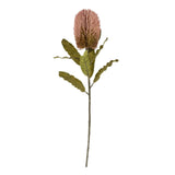 Banksia Floral Stem | Pink - FINAL SALE