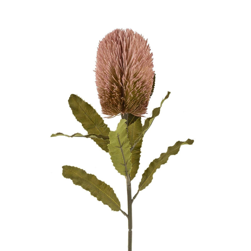 Banksia Floral Stem | Pink - FINAL SALE