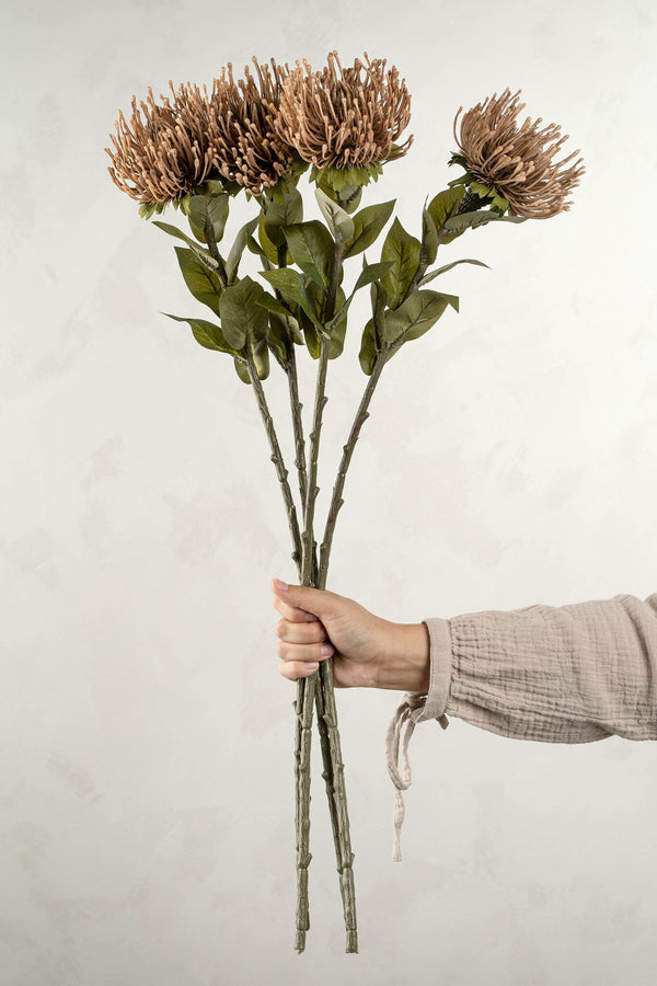 Pincushion Floral Stem | Natural