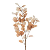 Eucalyptus Branch | Golden