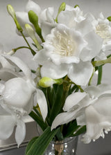Fresh Touch Paperwhite Bundle | White