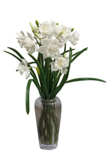 Fresh Touch Paperwhite Bundle | White