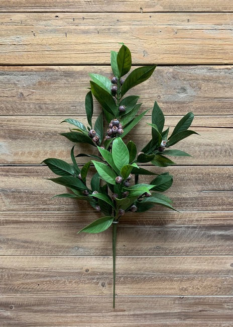 Laurel Spray | 21"