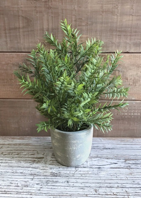 Potted Bamboo Bush | Large - FINAL SALE