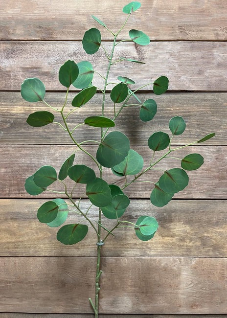 Silver Dollar Eucalyptus Spray | 45.5"