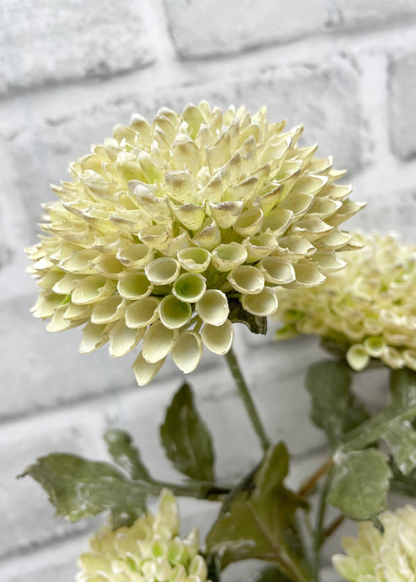 26" Scabiosa Spray | Cream