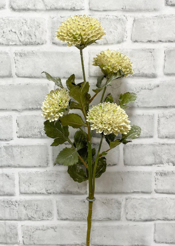 26" Scabiosa Spray | Cream