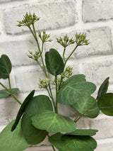 Fresh Touch Eucalyptus Bundle