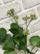 Fresh Touch Eucalyptus Bundle