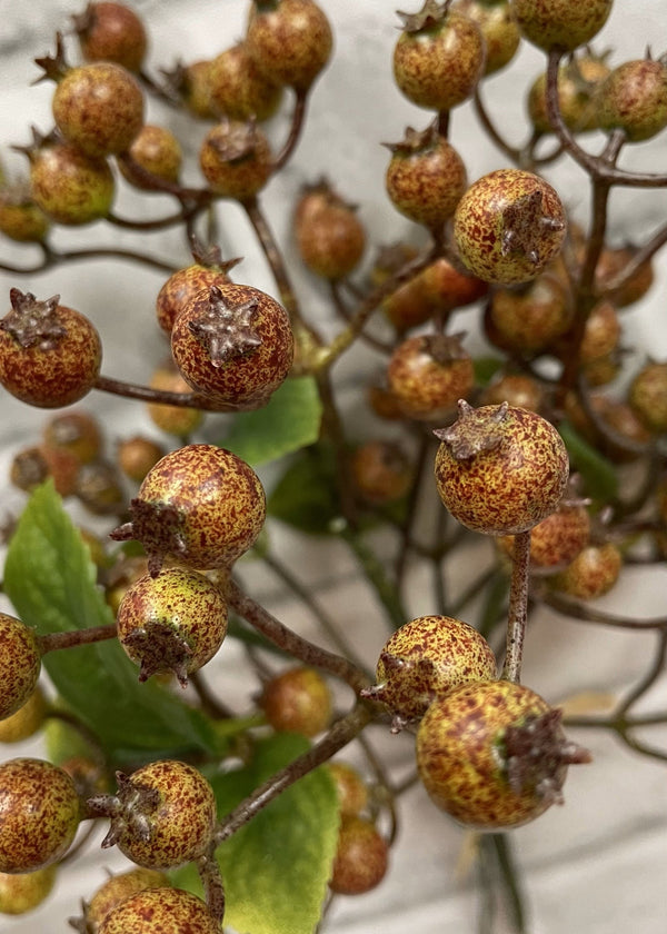 Fall Berry Bundle | 11"