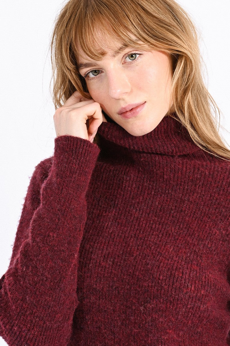 Beck Turtleneck | Burgundy – Pick-it-Fence Pembroke