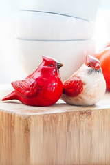 Cardinal Salt & Pepper Set