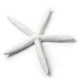 Simple White Starfish | Medium - FINAL SALE