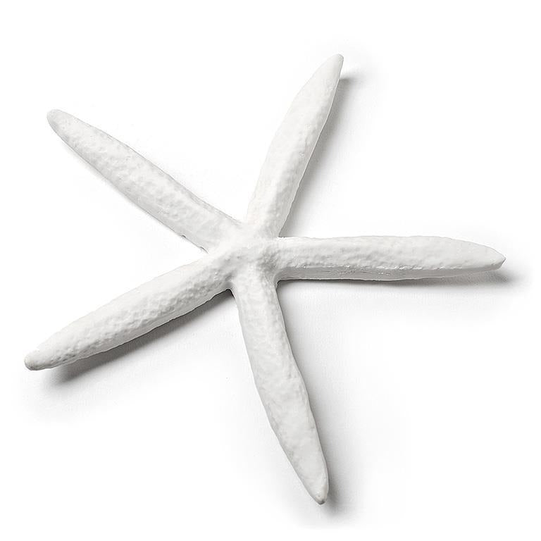 Simple White Starfish | Medium - FINAL SALE