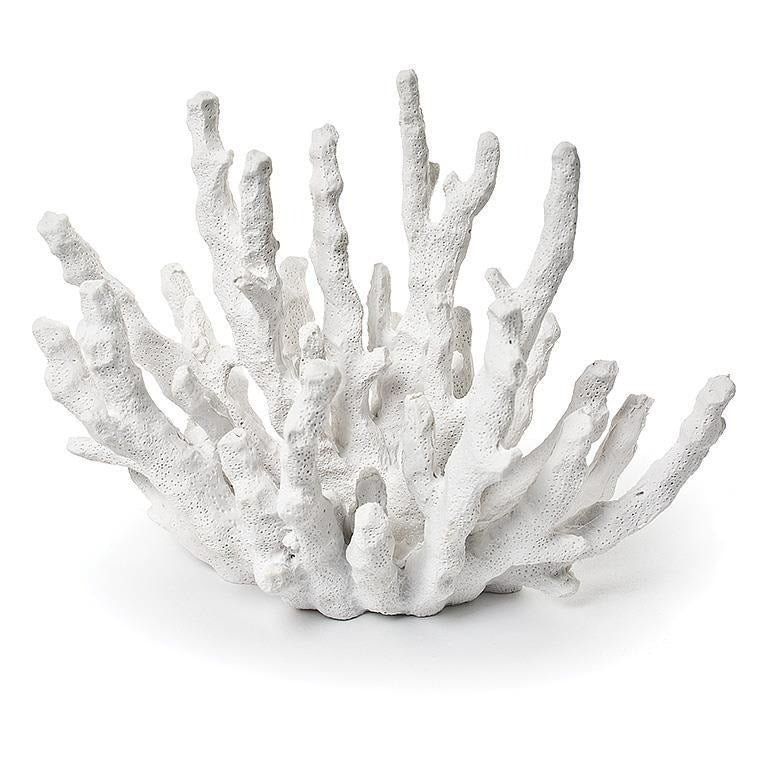 White Finger Coral | Small - FINAL SALE