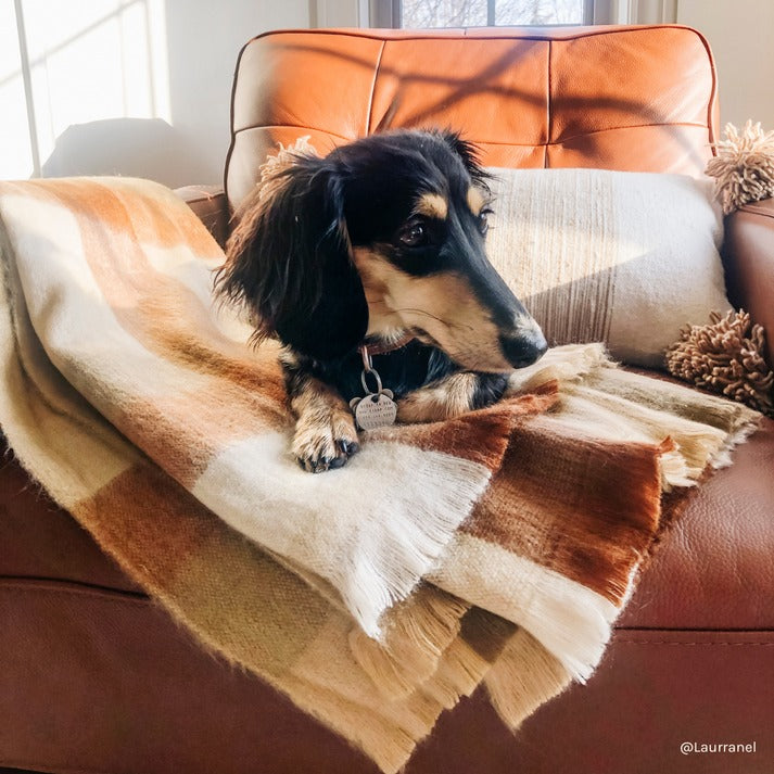 Alpaca Throw | Cinnamon Check