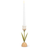 Tulip Taper Holder | White
