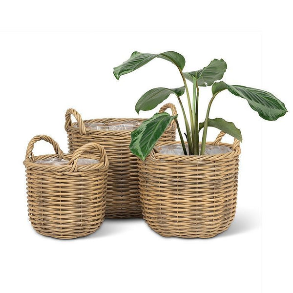 Tall Handled Basket