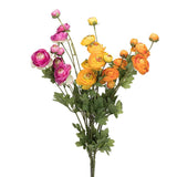 Ranunculus & Bud Spray