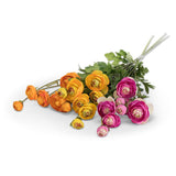 Ranunculus & Bud Spray