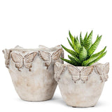 Butterfly Edge Planter | Medium
