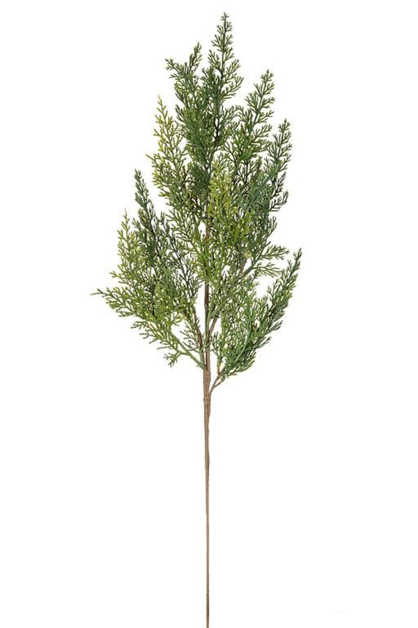 Cedar Spray | 28"