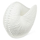 Nautilus Shell Vase