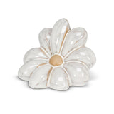 Daisy Bloom | Small