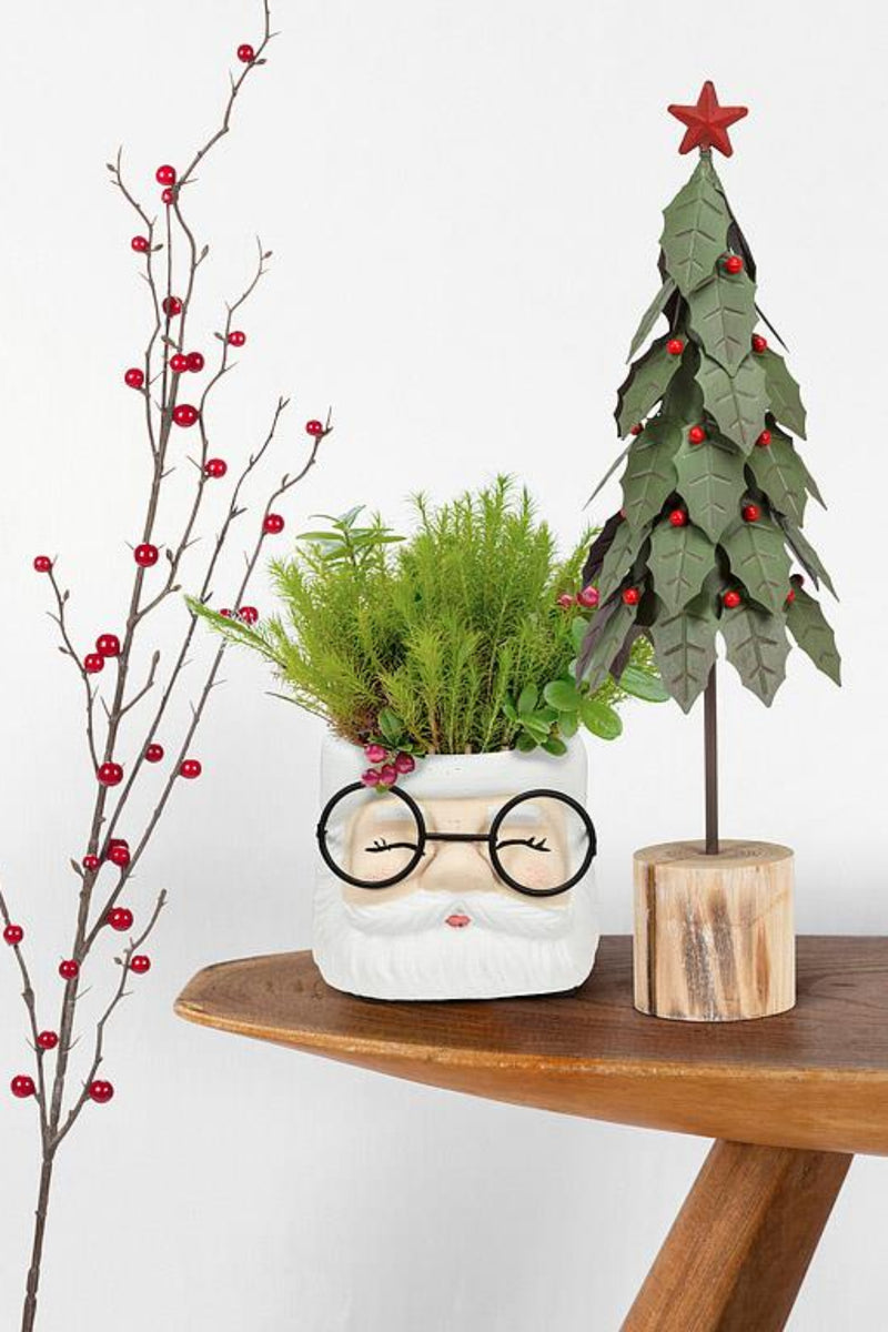 Holly Tree On Log | Medium