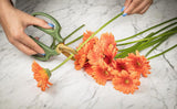 Short Blade Floral Snips | Green