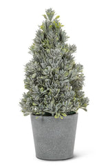 Potted Cone Tree | Frosted