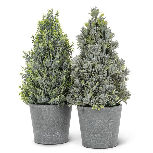 Potted Cone Tree | Frosted