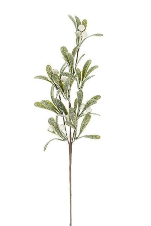 Mistletoe Branch | 18"