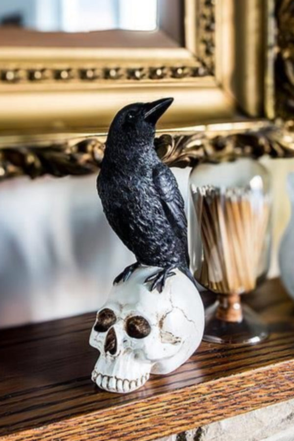 Raven On Skull