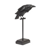 Raven On Perch