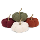 Boucle Pumpkin | Large