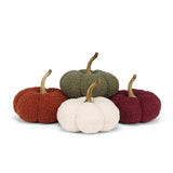Boucle Pumpkin | Small